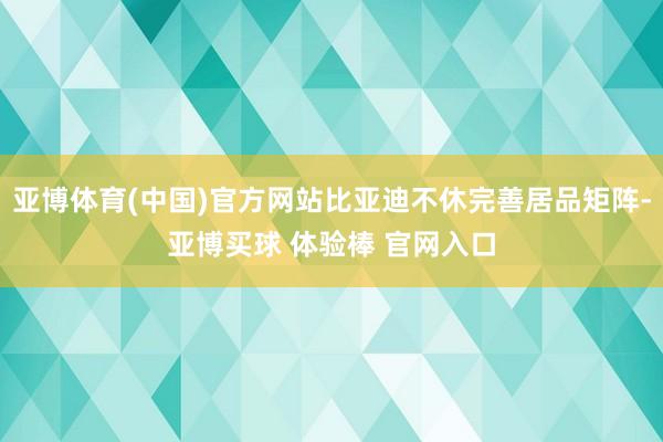 亚博体育(中国)官方网站比亚迪不休完善居品矩阵-亚博买球 体验棒 官网入口